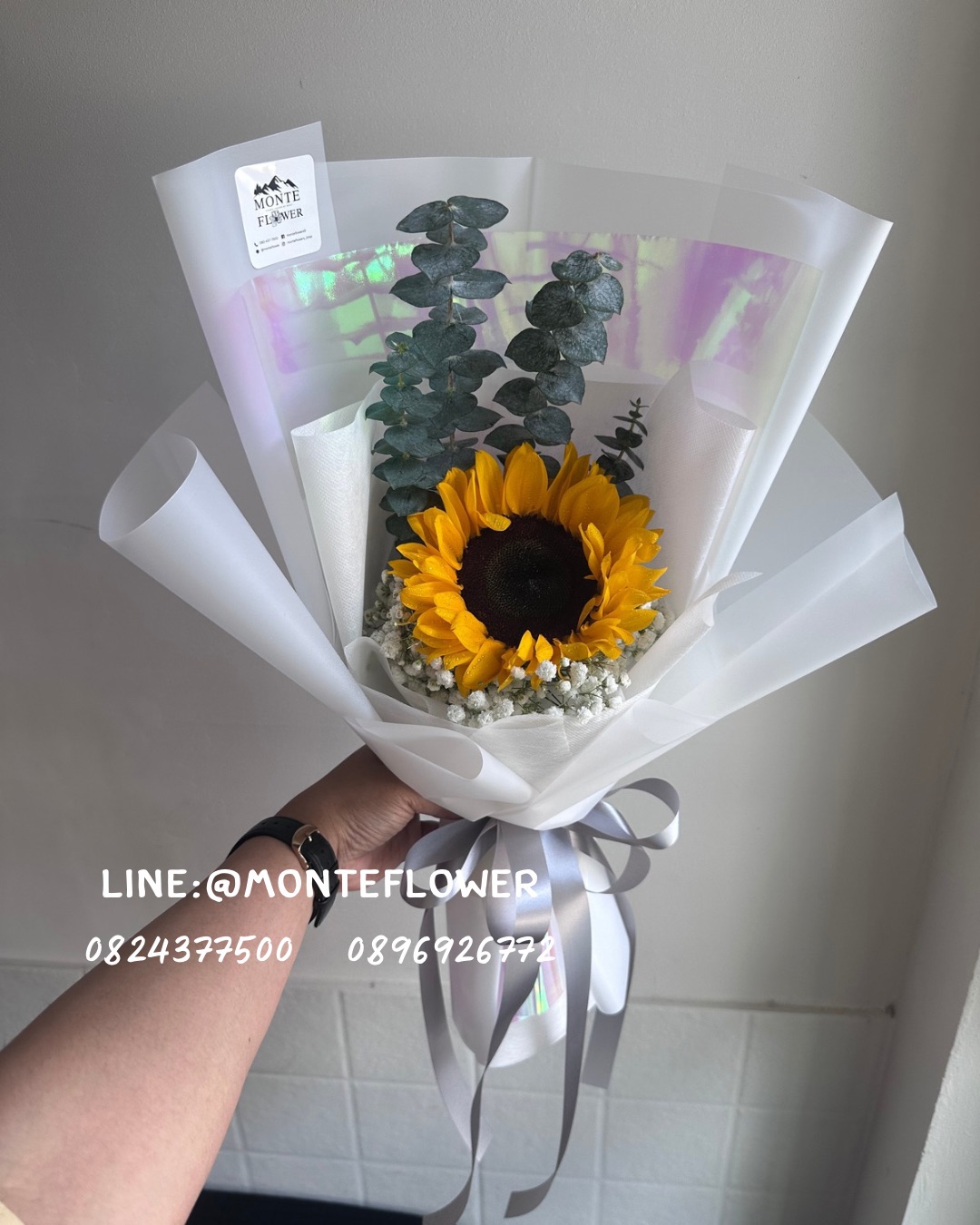 SunFlower1